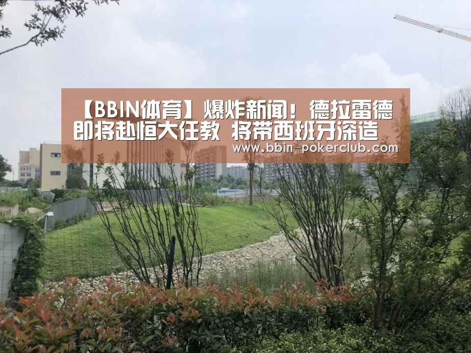 BBIN篮球