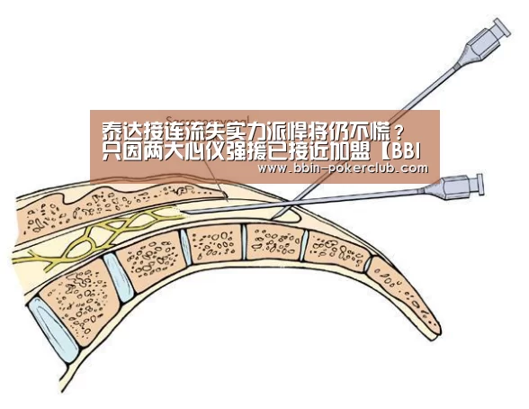 泰达接连流失实力派悍将仍不慌?只因两大心仪强援已接近加盟【BBIN电竞】(图3) BBIN足球