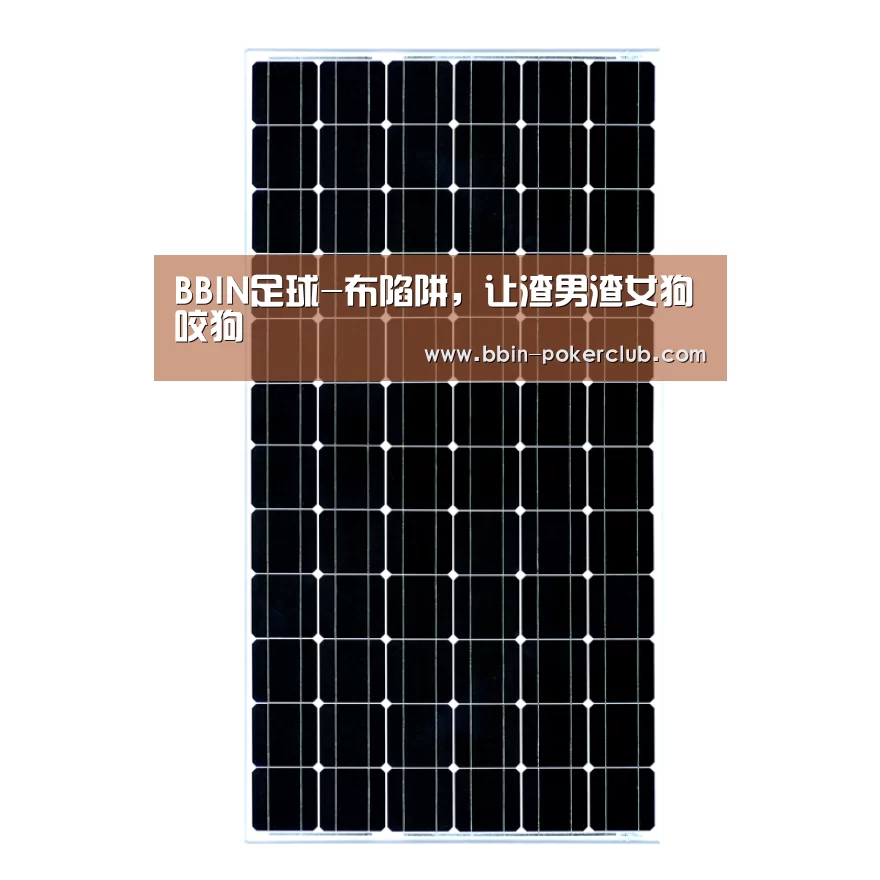 BBIN足球-布陷阱,让渣男渣女狗咬狗(图1) BBIN足球
